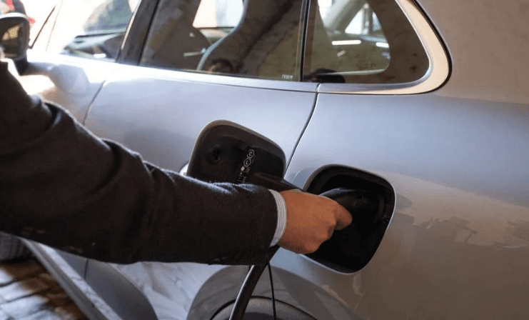 Porsche inaugura nuevo Corredor Verde en el Valle del Maipo